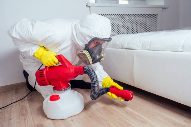 Professional Pest Control in Lincoln, ID